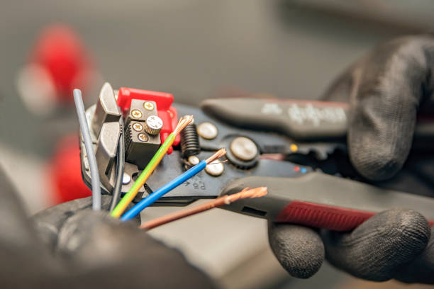 Best Local Electrician Companies  in Reinbeck, IA